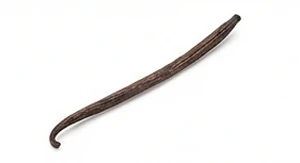 Wanilia meksykańska