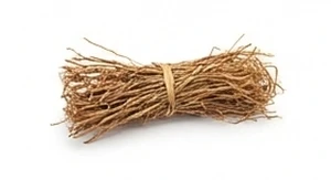 Wetyweria haitańska