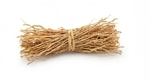 Wetyweria tahitańska