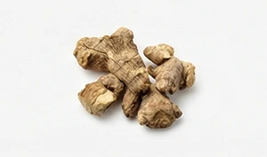 Włoski korzeń irysa