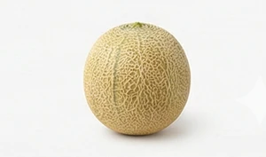 Włoski melon