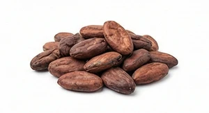 Ziarno kakaowca