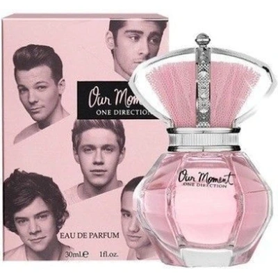 One Direction Our Moment