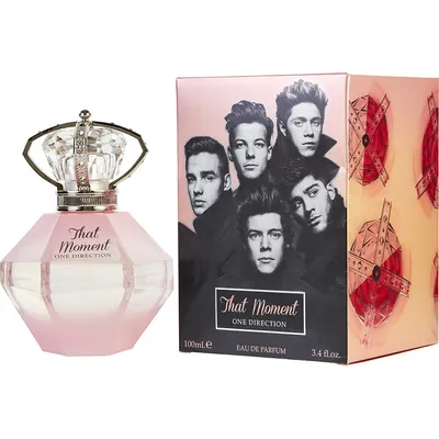 One Direction That Moment