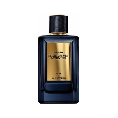 Prada Some Velvet Morning