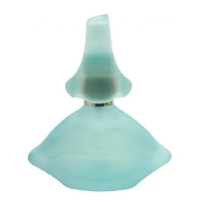 Salvador Dali Laguna