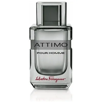 Ferragamo Attimo Pour Homme