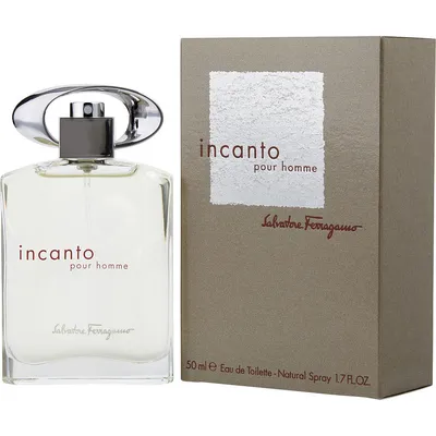 Ferragamo Incanto Pour Homme