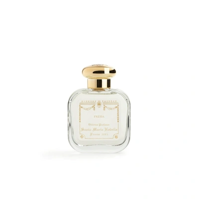Santa Maria Novella Fresia