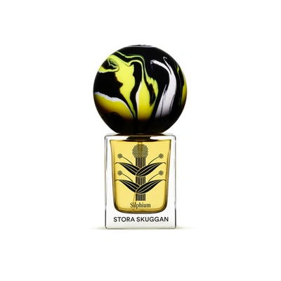 Stora Skuggan Silphium