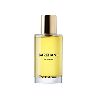 Teo Cabanel Barkhane
