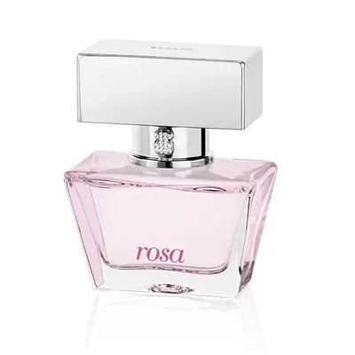 Tous Rosa