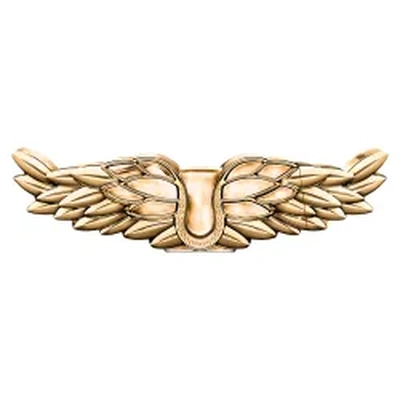 Zadig & Voltaire Zadig Intense